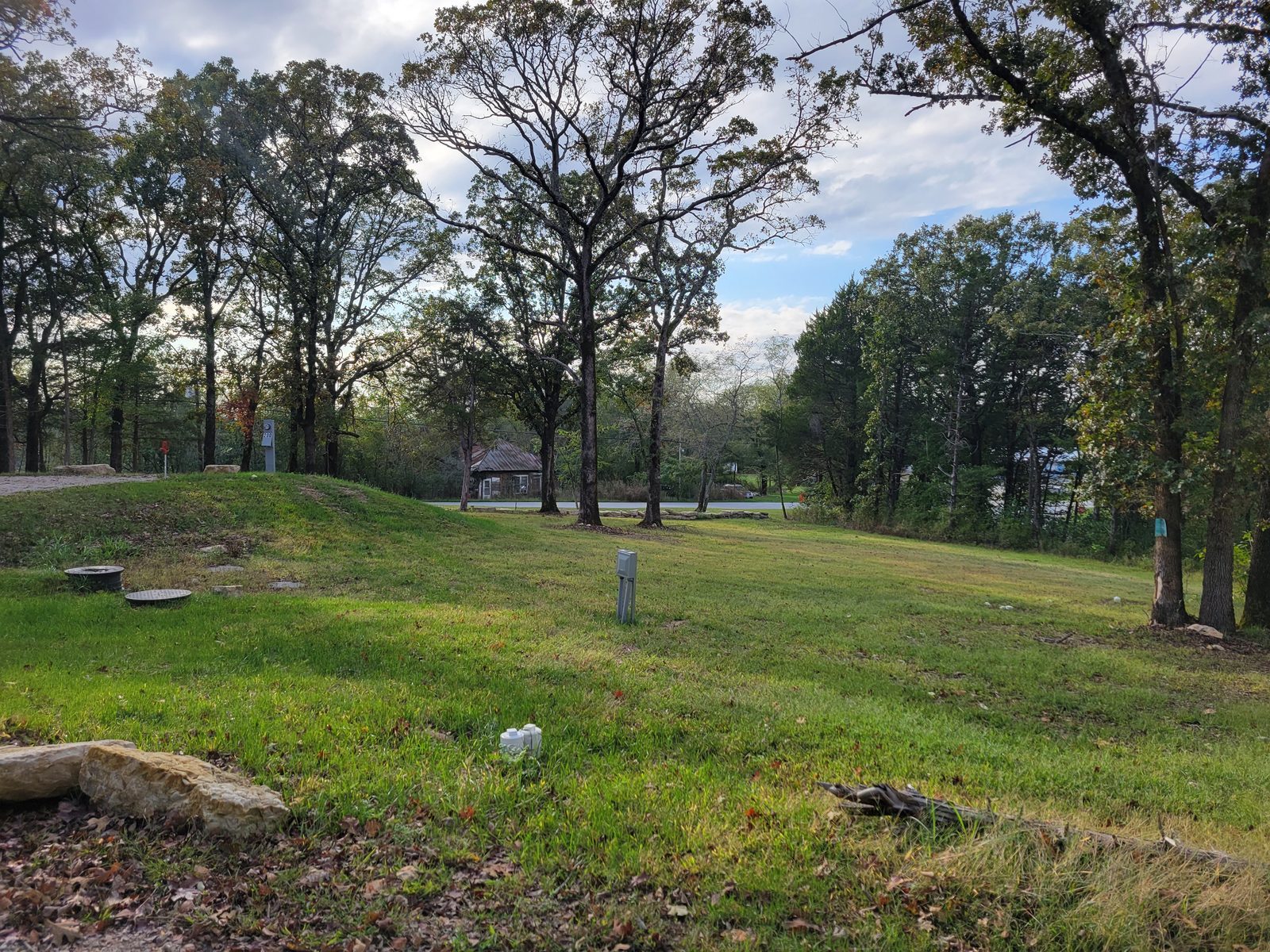 A tree-lined lane of RV sites in fresh spring green.
